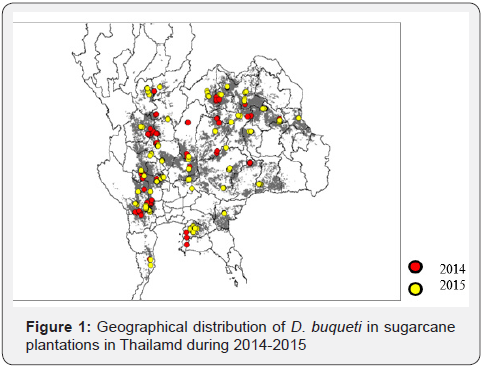 Click here to view Large Figure 1