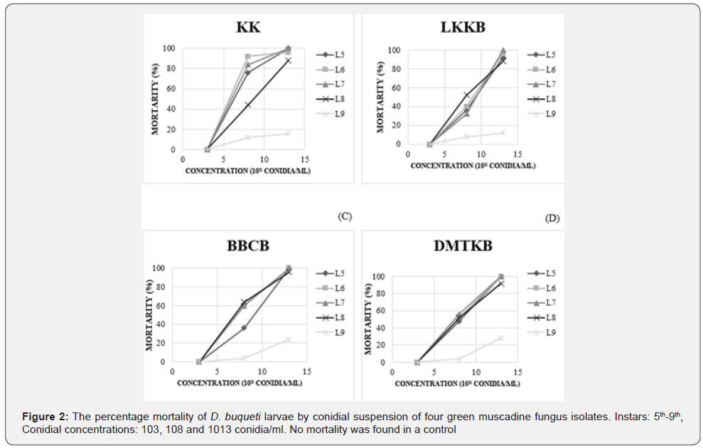 Click here to view Large Figure 2