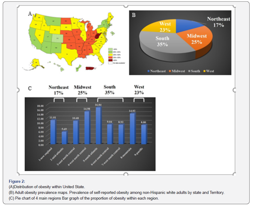 Click here to view Large Figure 2