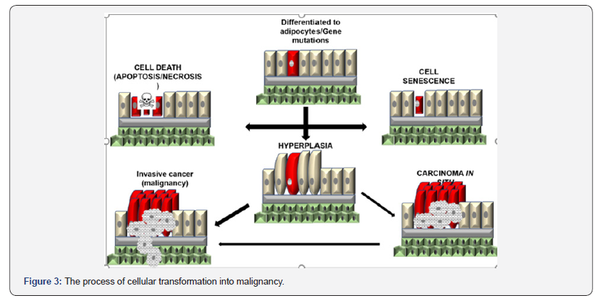 Click here to view Large Figure 3