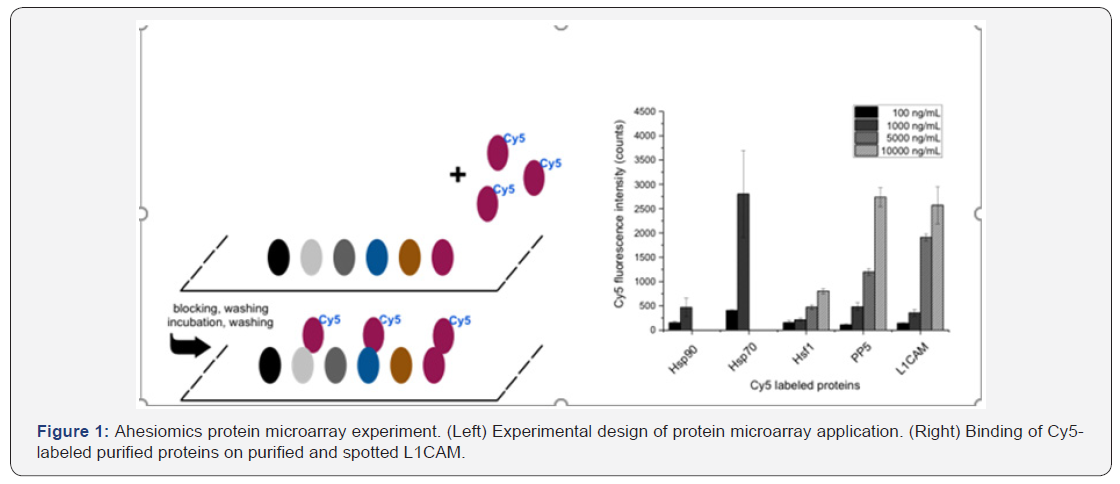 Click here to view Large Figure 1