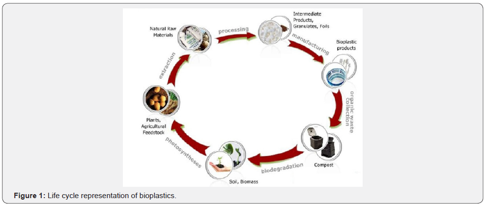Click here to view Large Figure 1