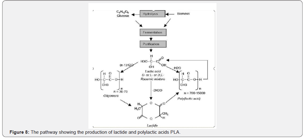 Click here to view Large Figure 8
