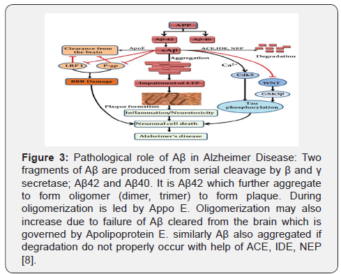 Click here to view Large Figure 3