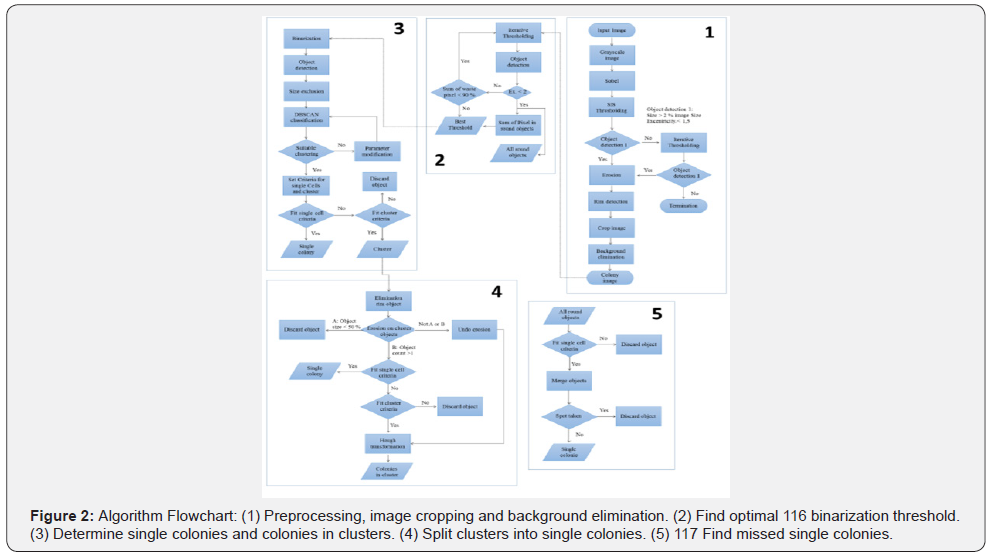 Click here to view Large Figure 2