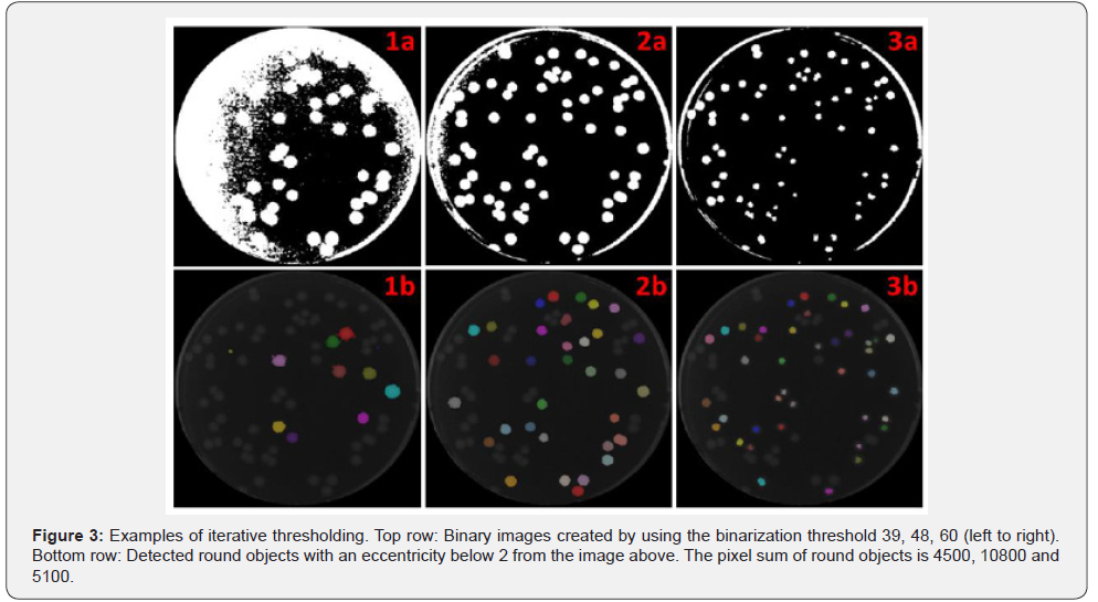 Click here to view Large Figure 3
