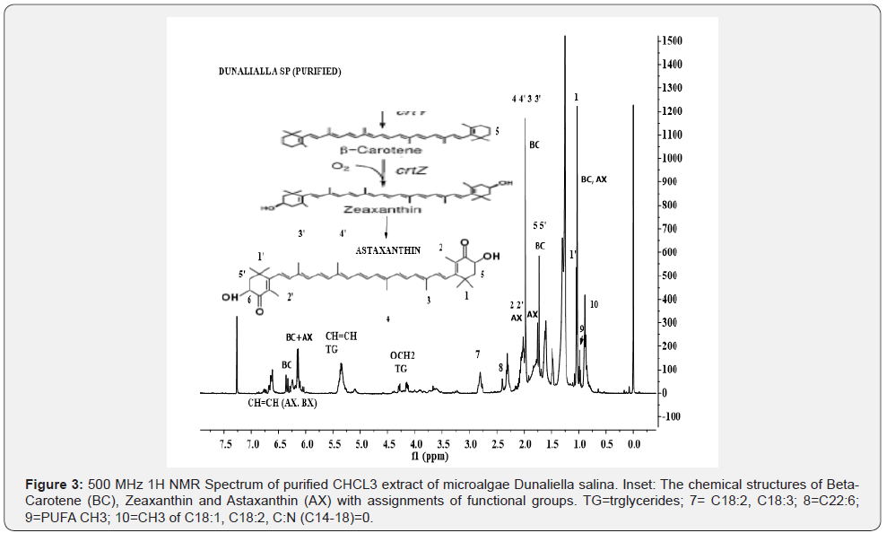 Click here to view Large Figure 2