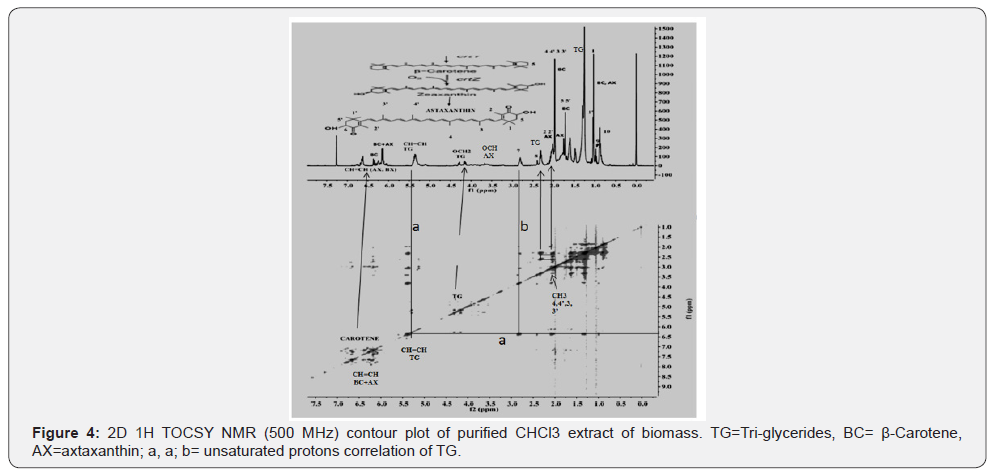 Click here to view Large Figure 4