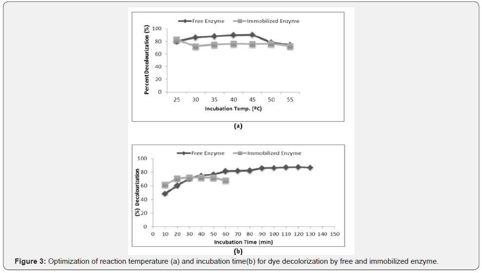 Click here to view Large Figure 3
