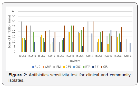 Click here to view Large Figure 2