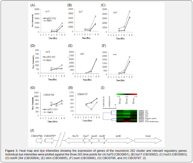 Click here to view Large Figure 3