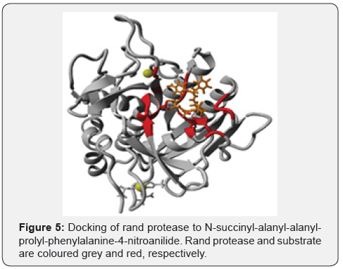 Click here to view Large Figure 5