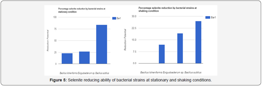 Click here to view Large Figure 5