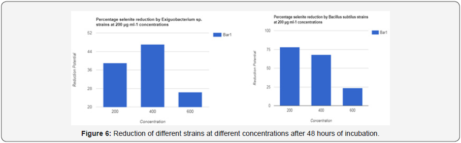 Click here to view Large Figure 6