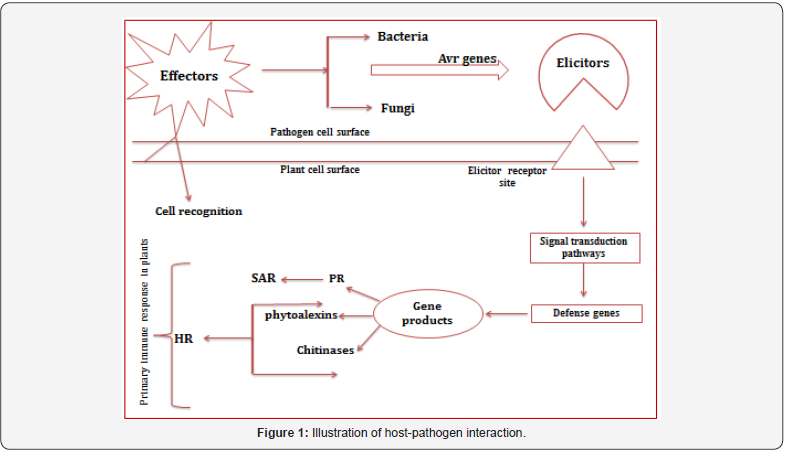 Click here to view Large Figure 1