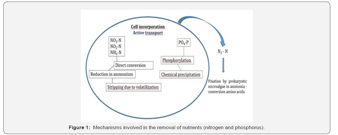Click here to view Large Figure 1