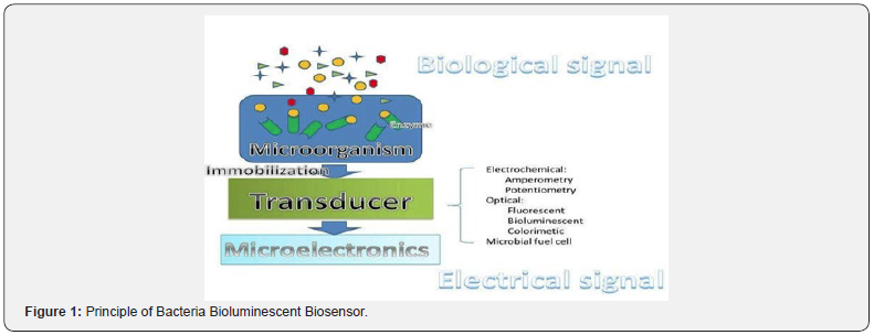 Click here to view Large Figure 1