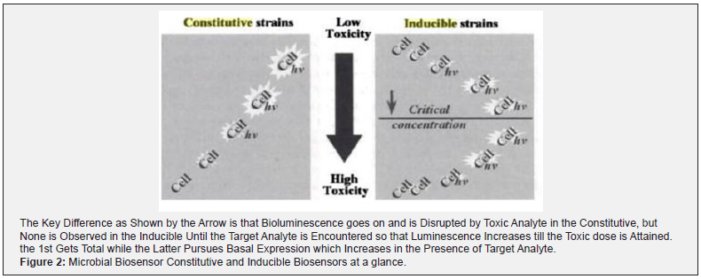 Click here to view Large Figure 2