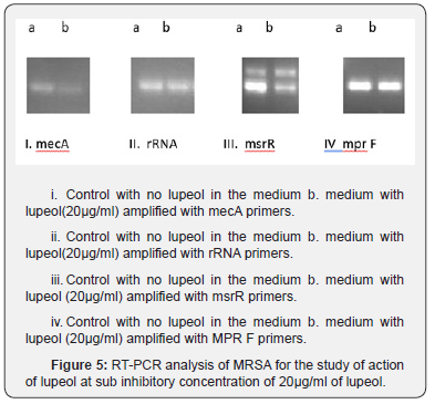 Click here to view Large Figure 5 Material Science