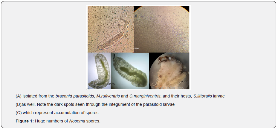 Click here to view Large Figure 1 Material Science