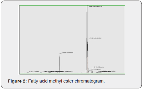 Click here to view Large Figure 2 Material Science
