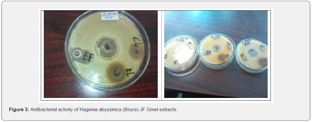 Click here to view Large Figure 3 Advances in Biotechnology & Microbiology