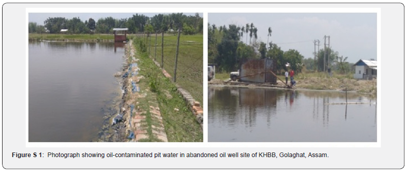 Click here to view Large Figure 1 Advances in Biotechnology & Microbiology