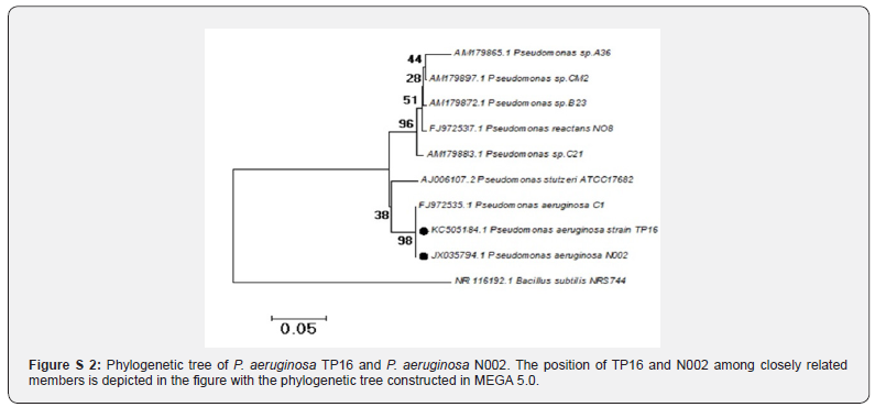 Click here to view Large Figure 2 Advances in Biotechnology & Microbiology