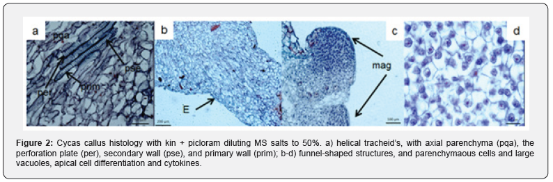 Click here to view Large Figure 2