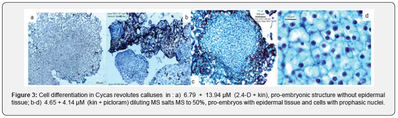 Click here to view Large Figure 3