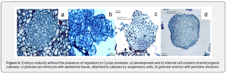 Click here to view Large Figure 6