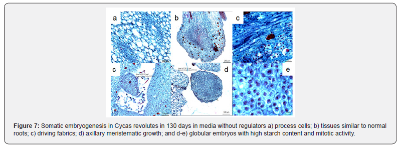 Click here to view Large Figure 7