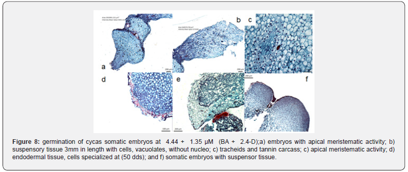 Click here to view Large Figure 8
