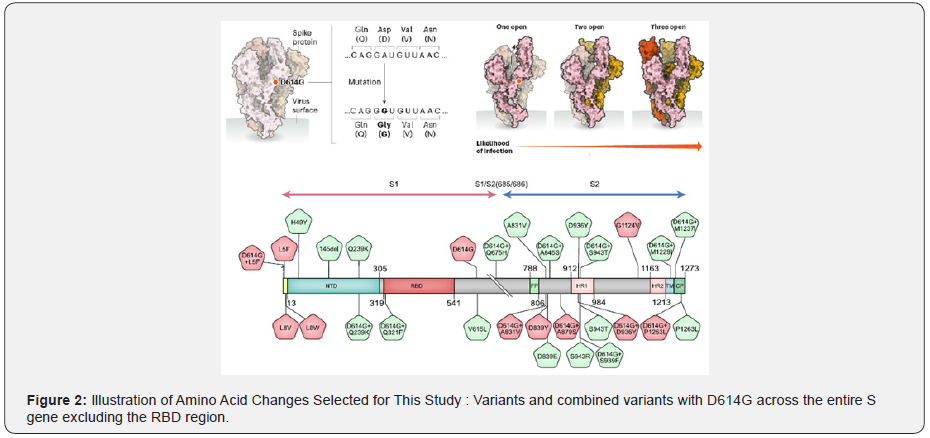 Click here to view Large Figure 2 Material Science