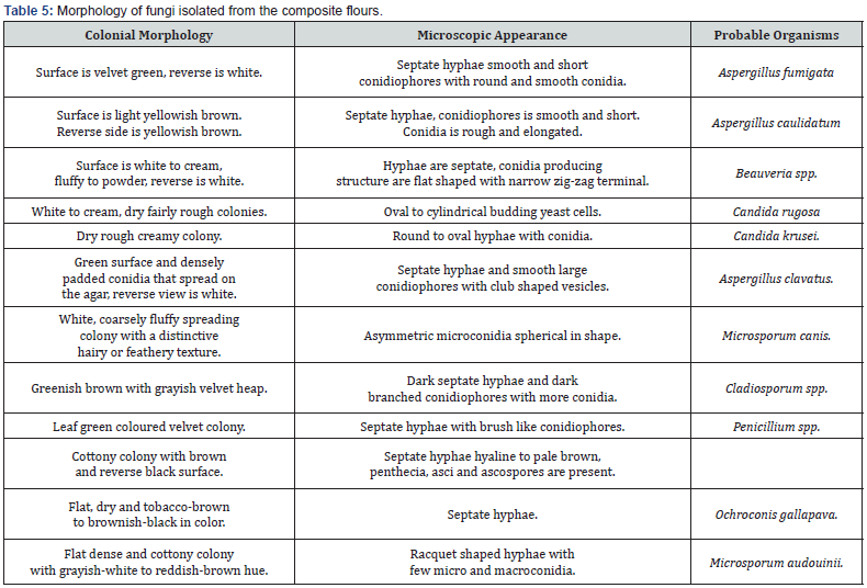 Click here to view Large Table 5