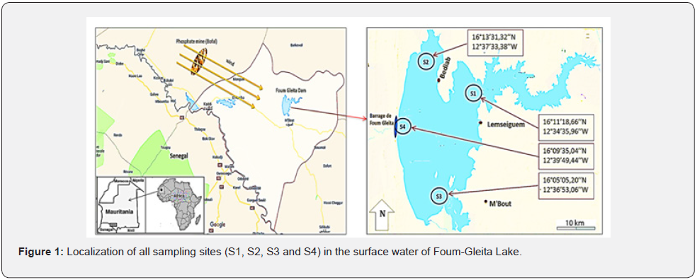 Click here to view Large Figure 1