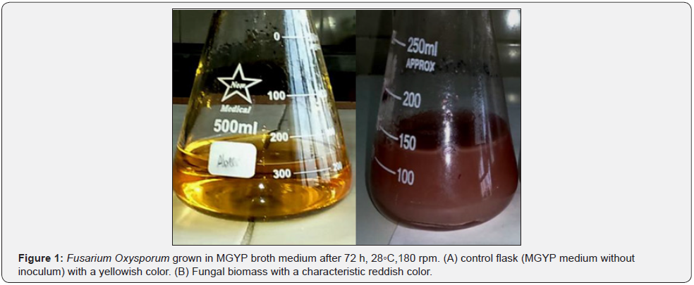 Click here to view Large Figure 1