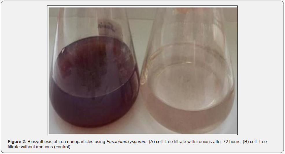 Click here to view Large Figure 2