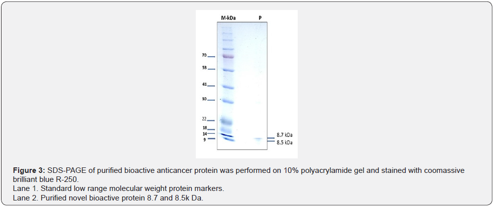 Click here to view Large Figure 3