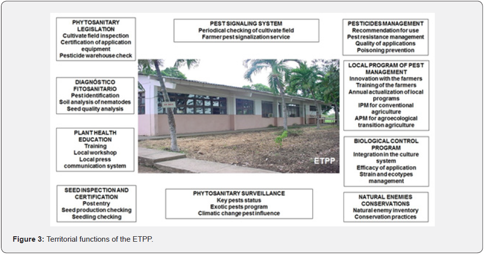Click here to view Large Figure 3