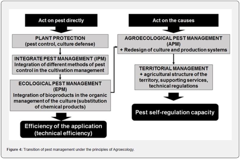 Click here to view Large Figure 4