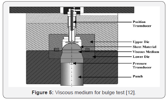 Click here to view Large Figure 5