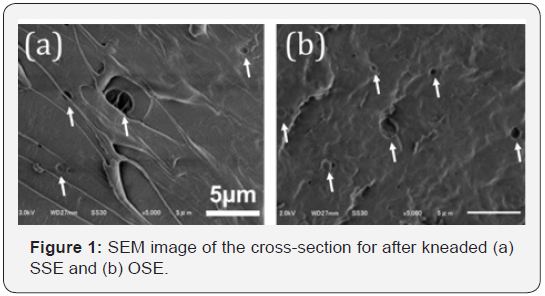 Click here to view Large Figure 1