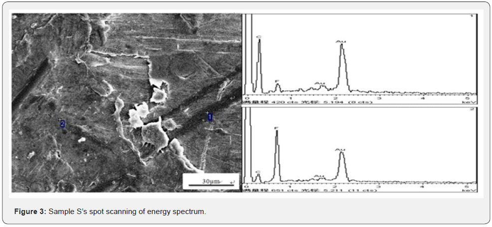 Click here to view Large Figure 3