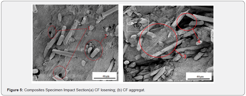 Click here to view Large Figure 5