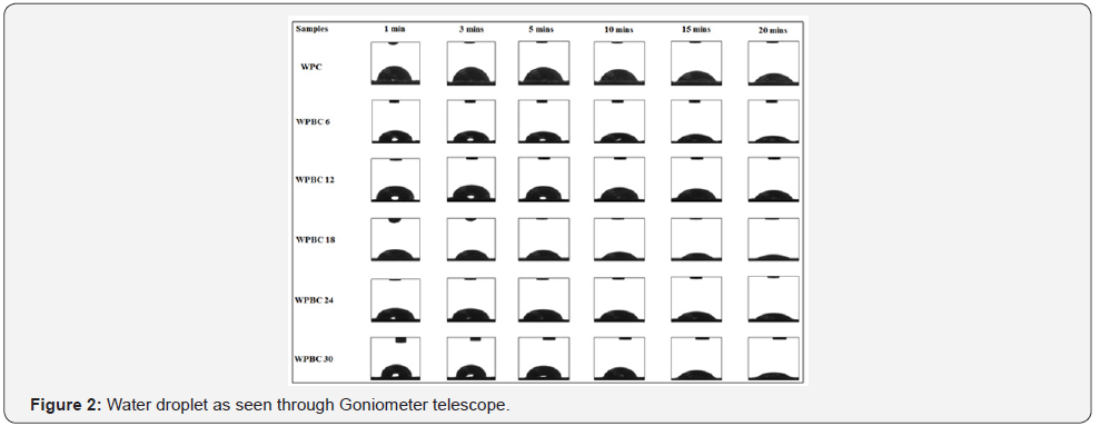 Click here to view Large Figure 2
