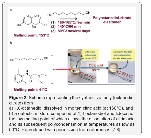 Click here to view Large Figure 2