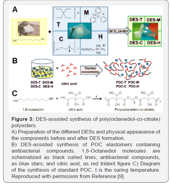 Click here to view Large Figure 3