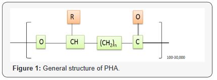 Click here to view Large Figure 1
