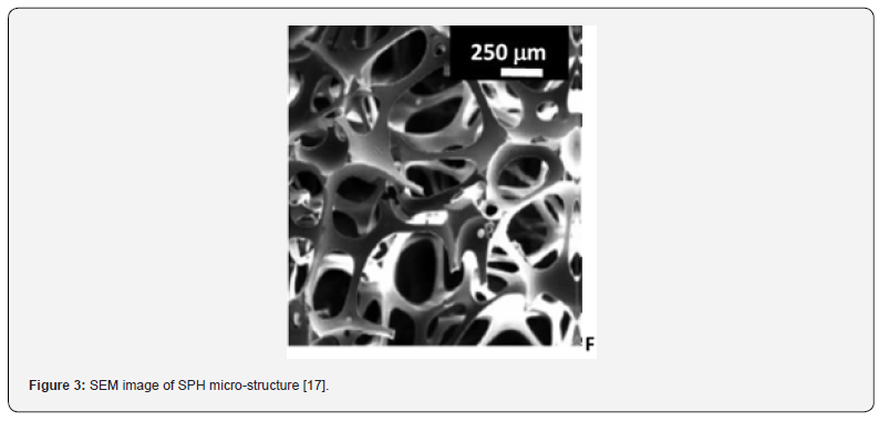 Click here to view Large Figure 3